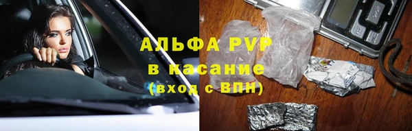 стафф Бородино