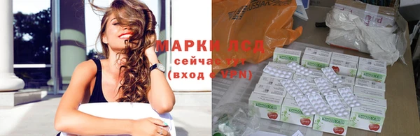 стафф Бородино