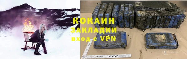 прущие грибы Бронницы