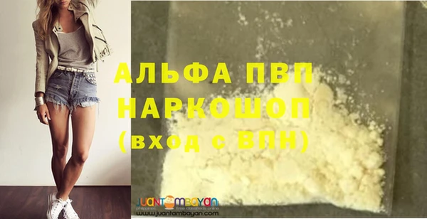 прущие грибы Бронницы