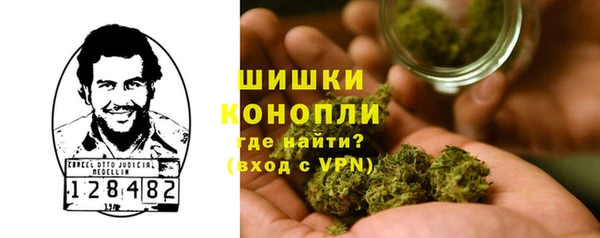прущие грибы Бронницы