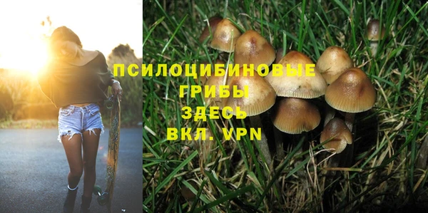 прущая мука Верея