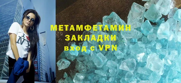 прущие грибы Бронницы