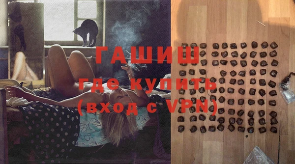стафф Бородино
