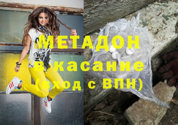 прущие грибы Бронницы