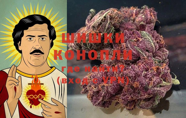 PSILOCYBIN Бугульма